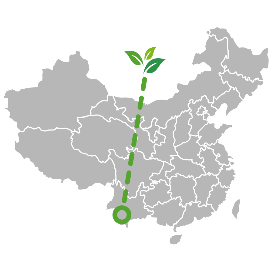 a map of where ripe puer (shu puer) tea is grown, in yunnan providence, China.