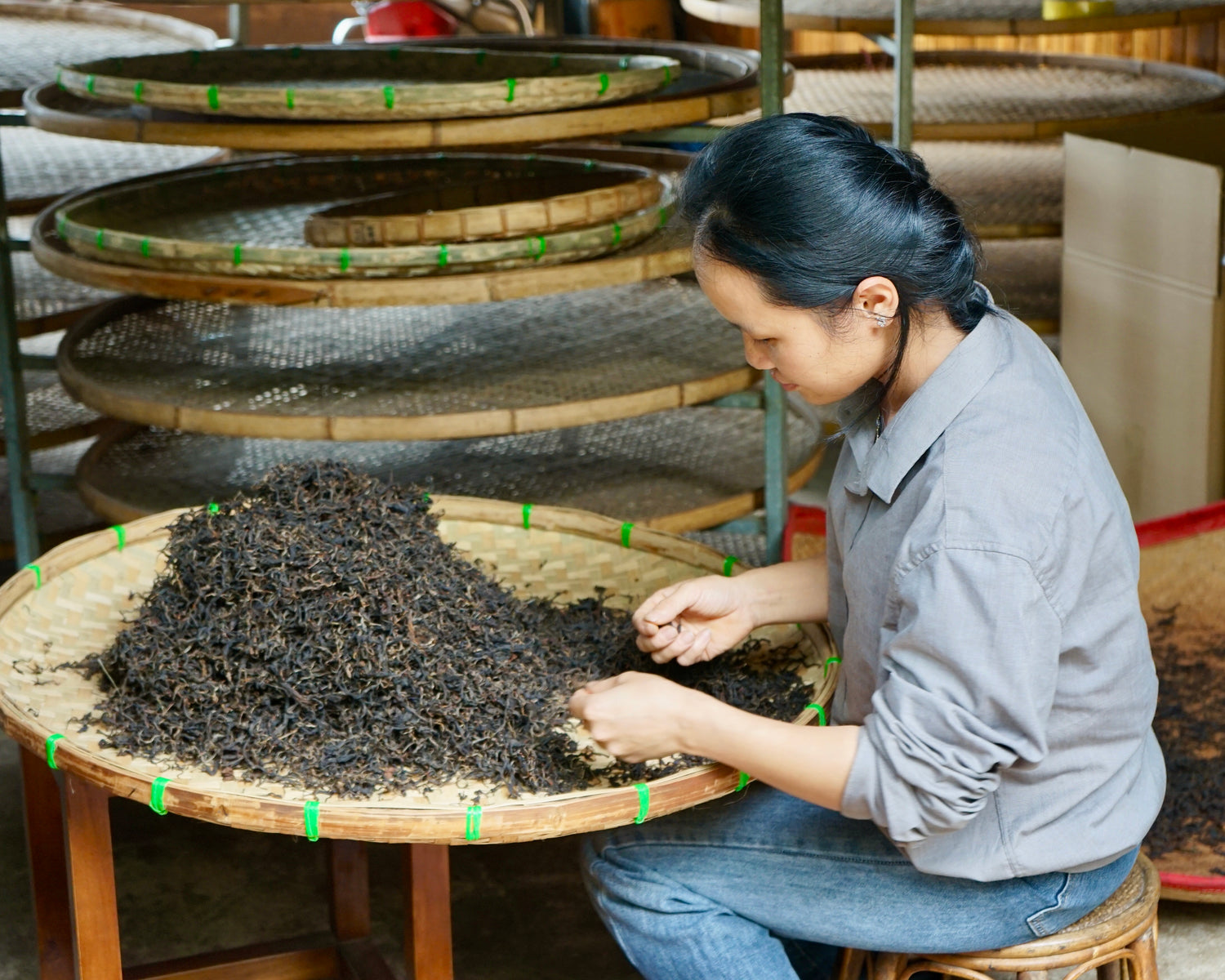a woman sifting through yunnan black tea leaves