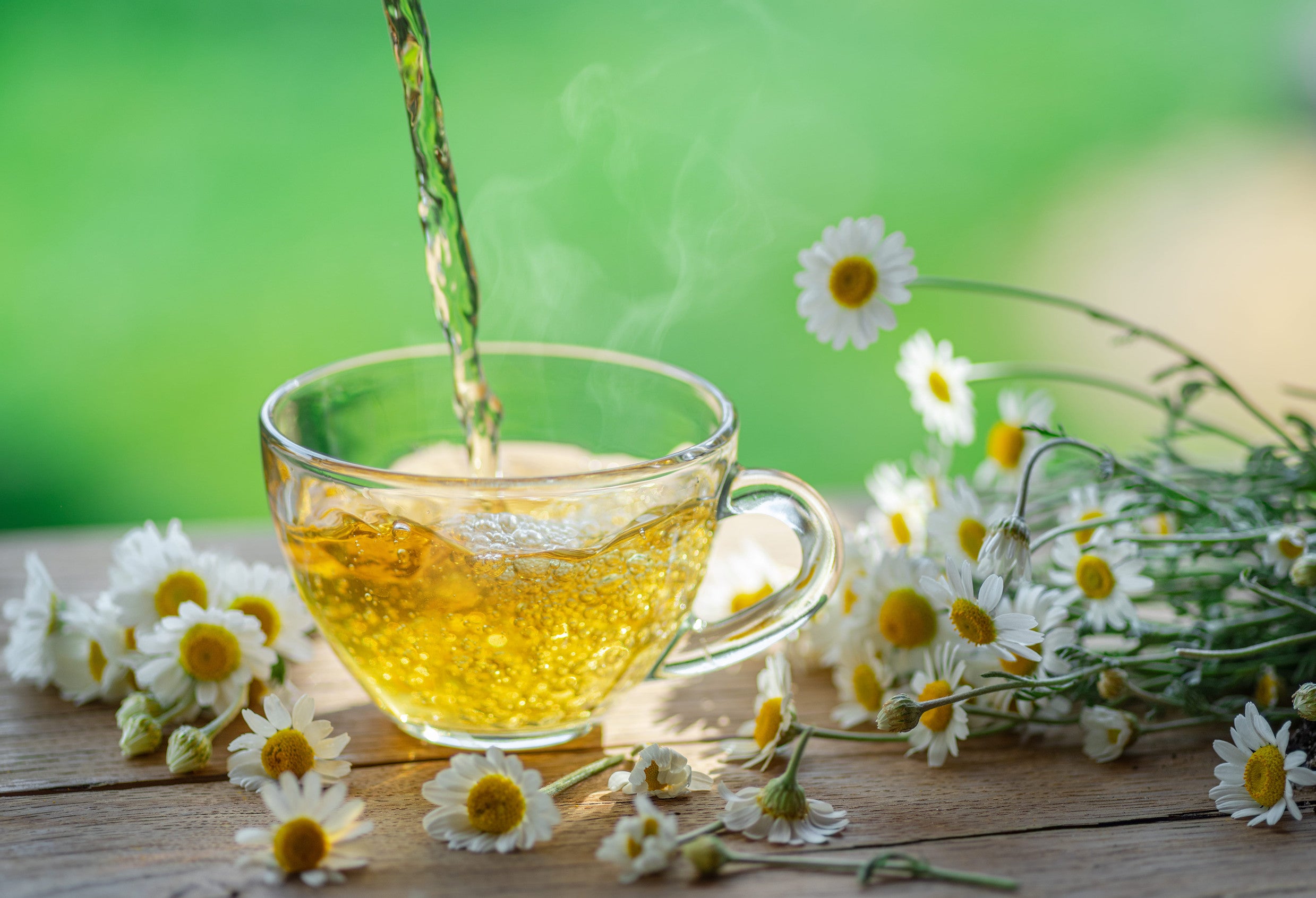 Chamomile brewing guide image