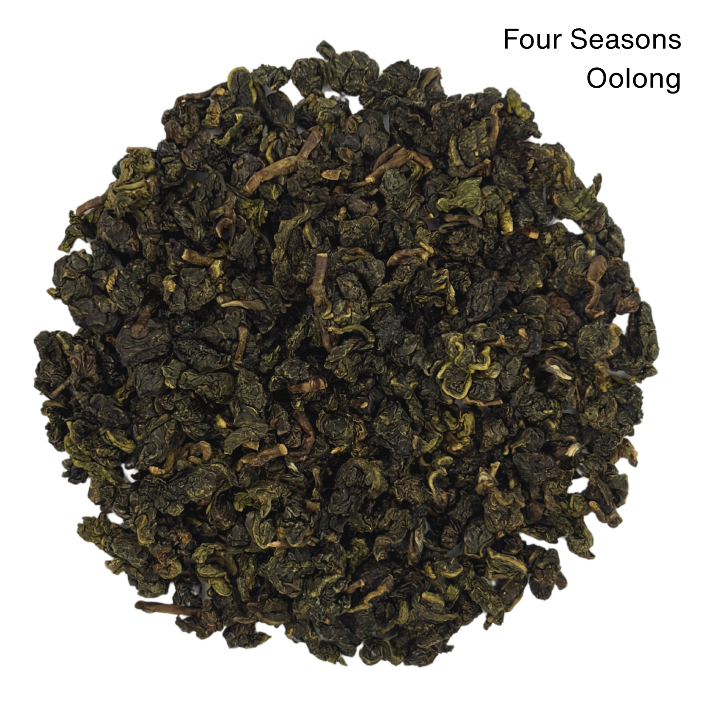 4 Oolong Sampler Pack w / Tea Infuser