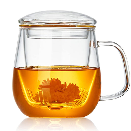 Glass Infuser Mug w/Holder Lid