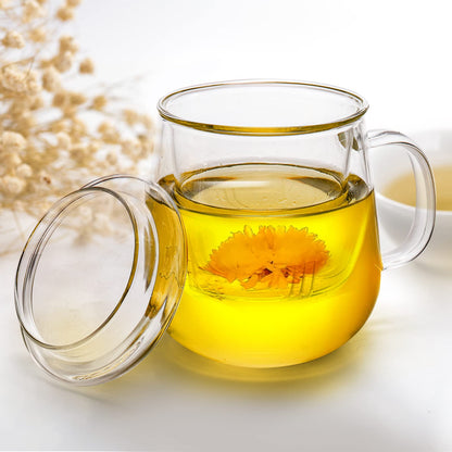 Glass Infuser Mug w/Holder Lid