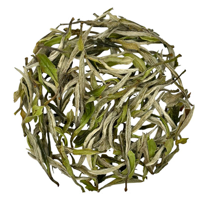 a circle of bai mu dan (white peony) tea leaves