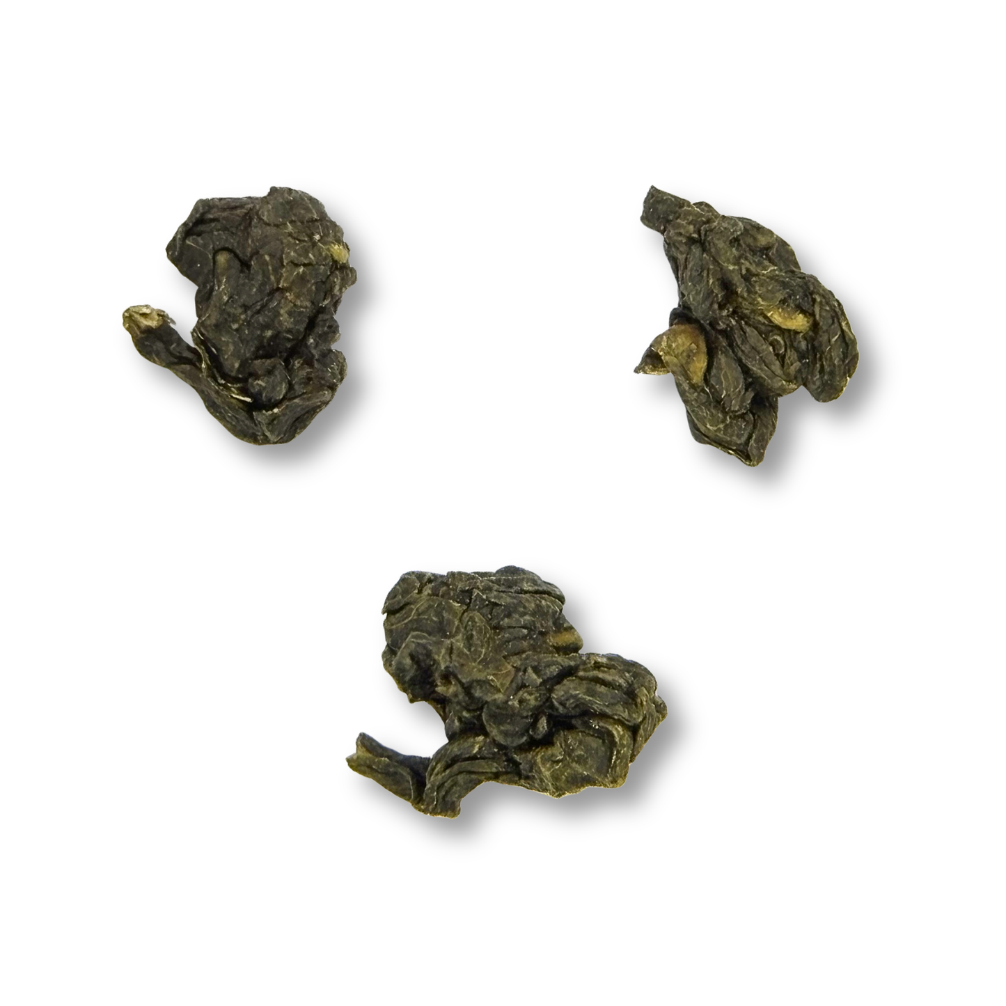 Three dried tea leaves of four seasons tea on a white background