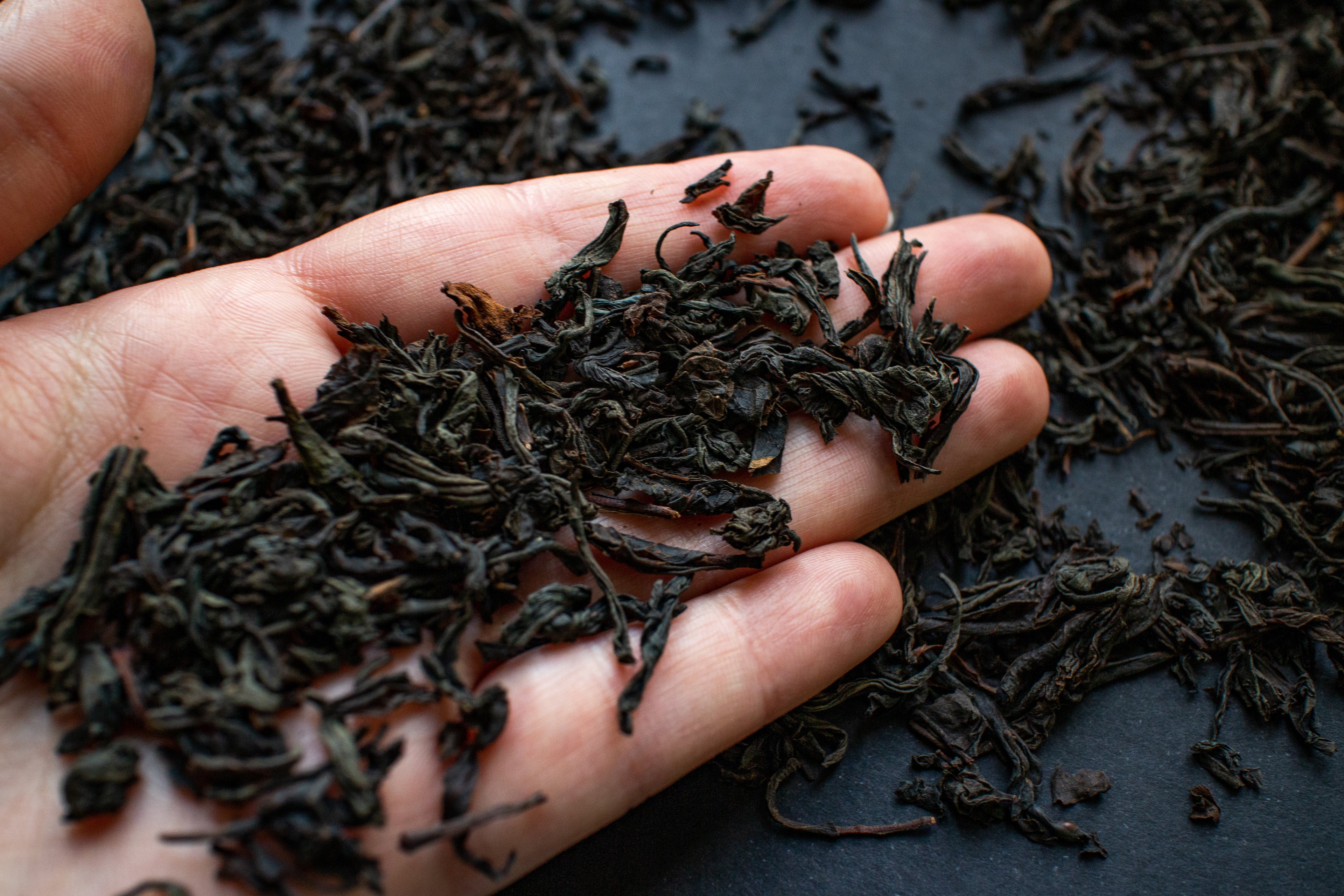a hand with high quality tea leaves in it