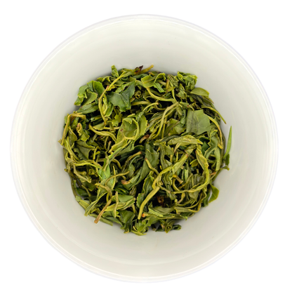 the unfurled leaves of green jade tea