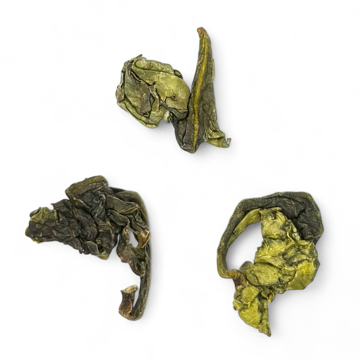 a close up of 3 leaves of iron goddess (tie guan yin) tea