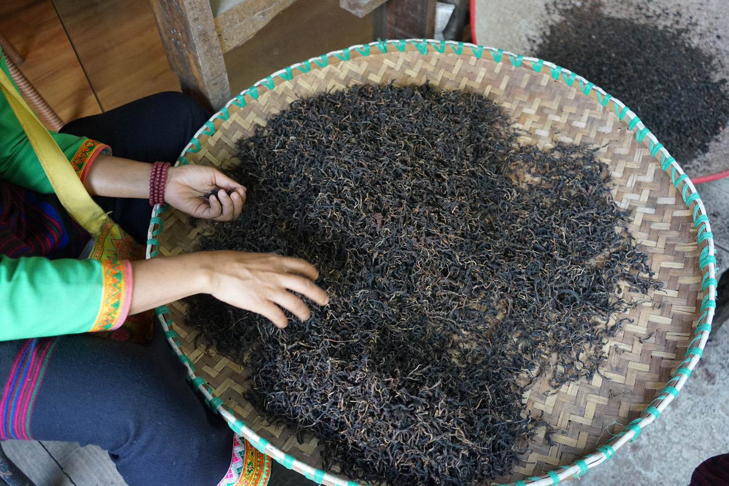 a woman dressed in traditional yunnan clothing sifting through ripe pu'erh tea leaves
