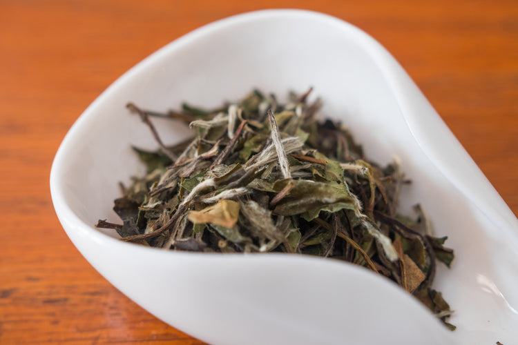 the dry leaves of white peony tea