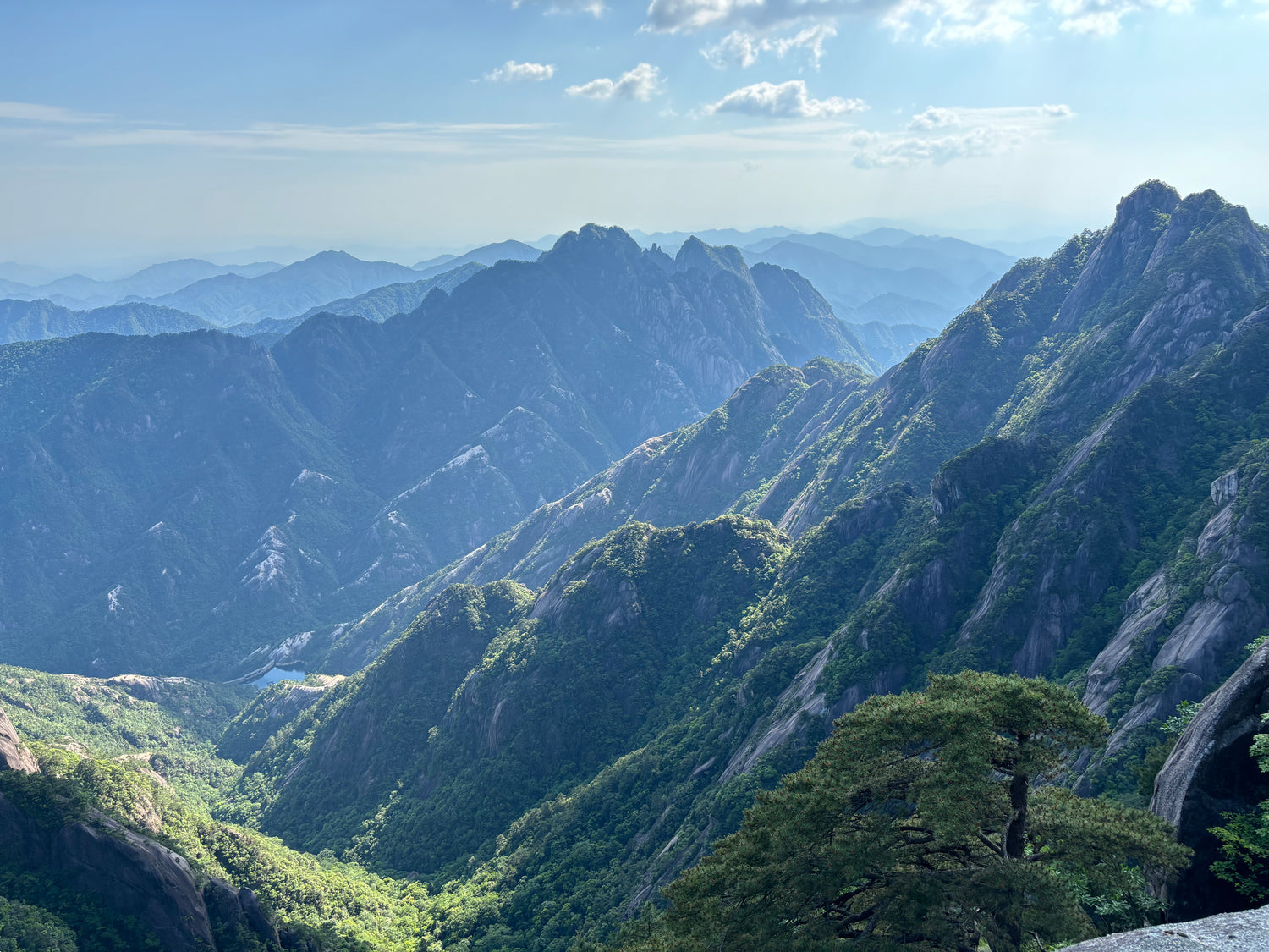 a scenic view of huangshan mountain in China, showcasing the terroir of yellow mountain fur tips tea.